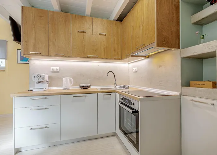 Viatzo Loft 公寓 Potamós